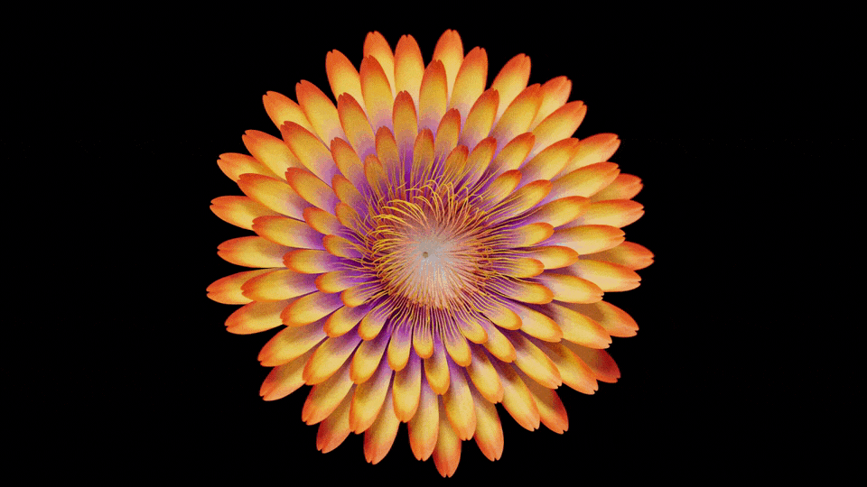 Andrea_Philippon_Simons_RodeoFX_gif_06