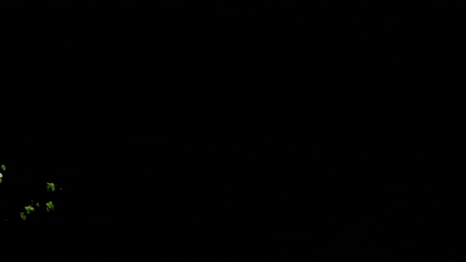 Andrea_Philippon_Simons_RodeoFX_gif_15