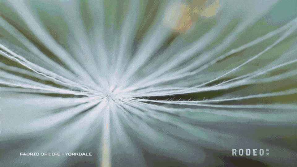 Andrea_Philippon_Simons_RodeoFX_gif_24
